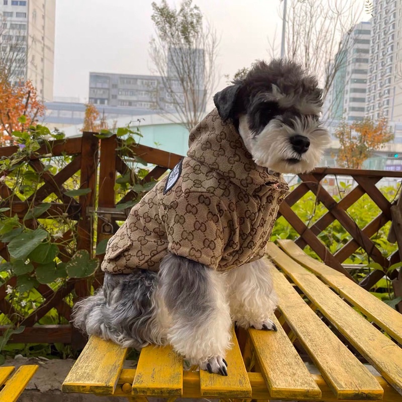 ÁO KHOÁC THE DOG FACE x GUCCl dành cho chó mèo