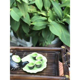 Bộ ấm trà bát tràng mini / Bộ ấm trà mini