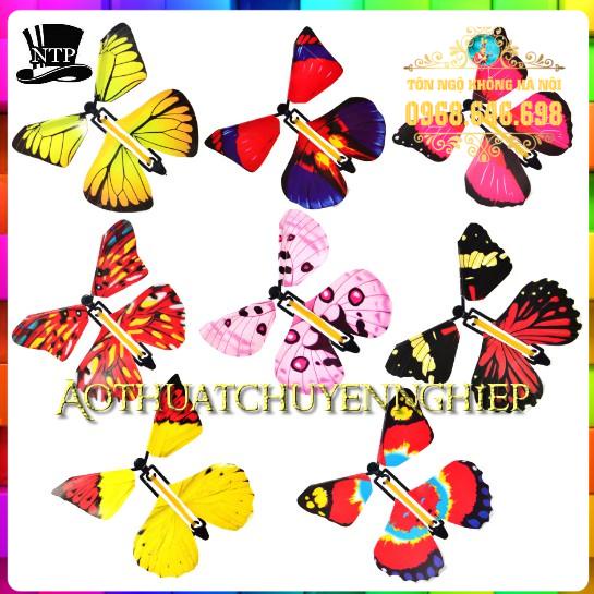 Ảo thuật bướm bay từ sách - Butterfly Magic Book  Set 5 con