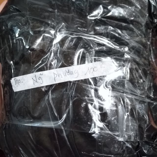 Áo gió người lớn