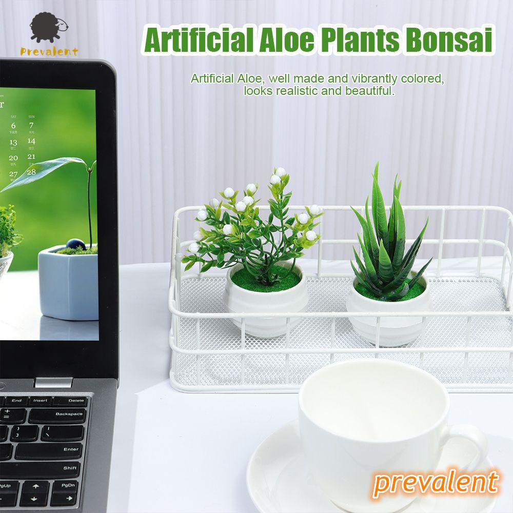 Chậu cây bonsai giả mini dùng trang trí bàn làm việc