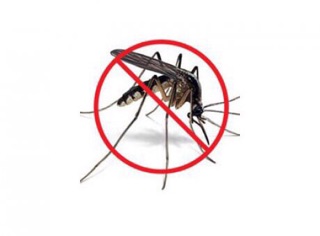 Xịt chống muỗi Pediakid Pháp