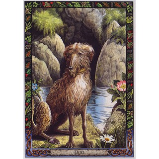 Bộ bài The Druid Animal Oracle Deck