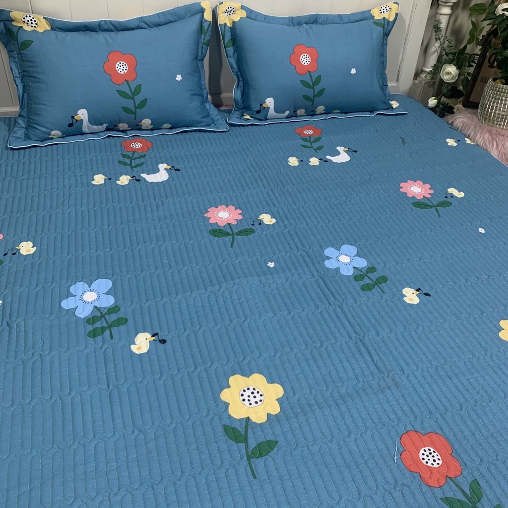 Set Ga Cotton Chun Trần Bông Bambiloo Cao Cấp Kèm Hai Vỏ Gối | BigBuy360 - bigbuy360.vn