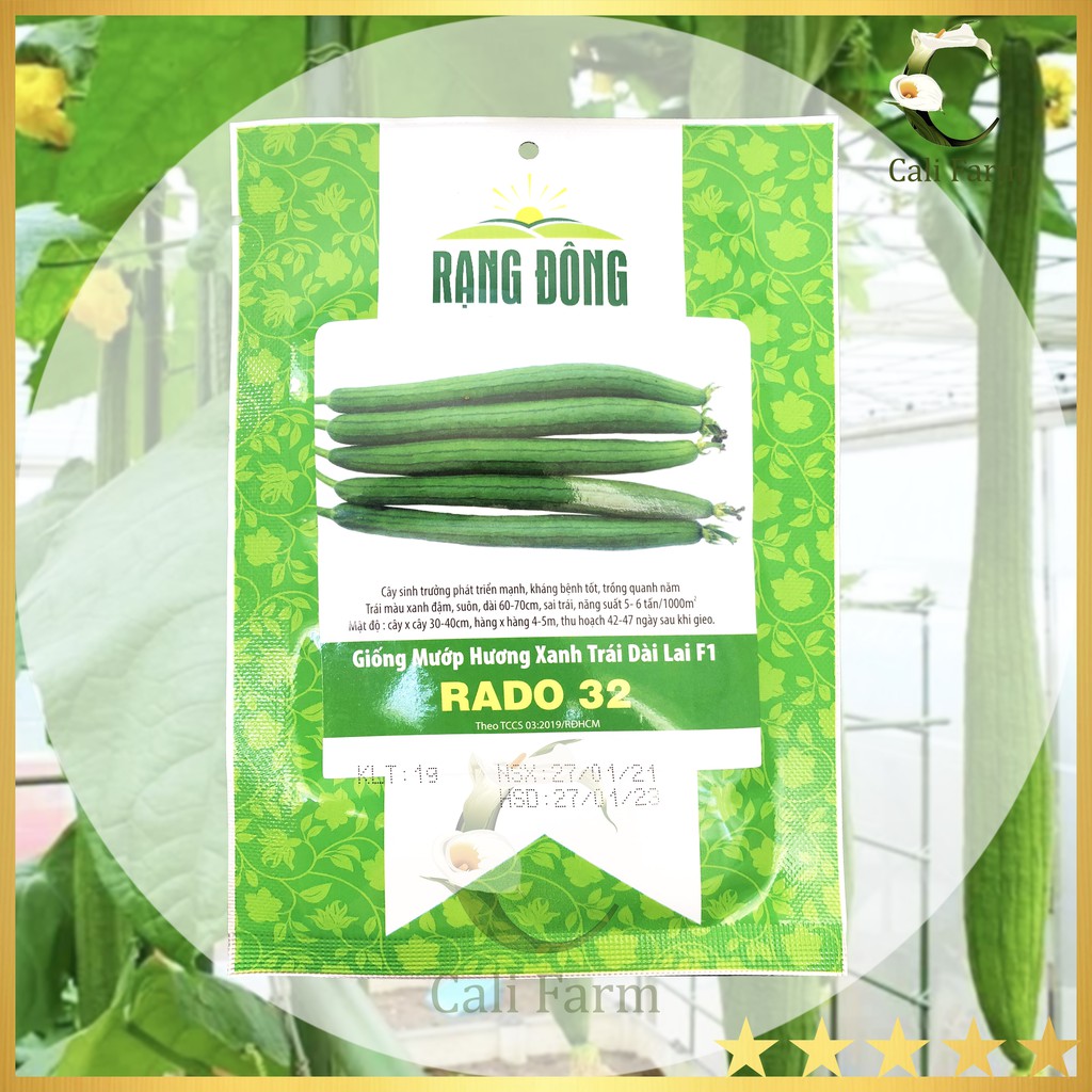 Hạt Giống Mướp Hương Xanh Trái Dài Lai F1 Rado 32 gói 1gr Năng suất cao, dễ trồng, ăn ngon
