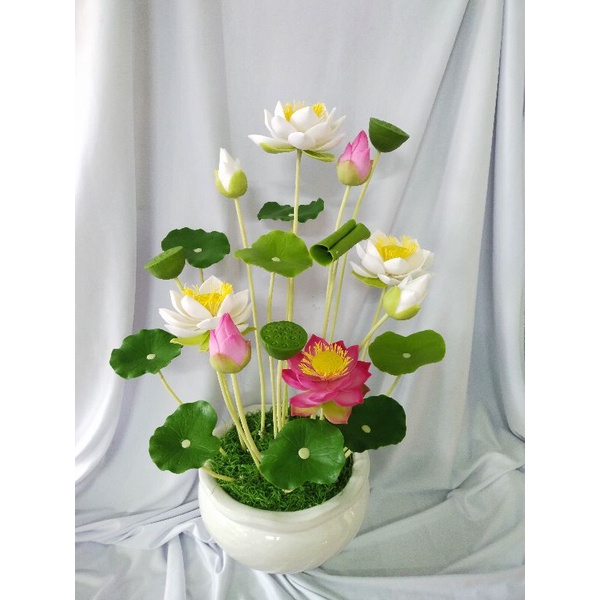 Chậu hoa sen 4 hoa, đường kính hoa 12cm, chậu cao 55cm