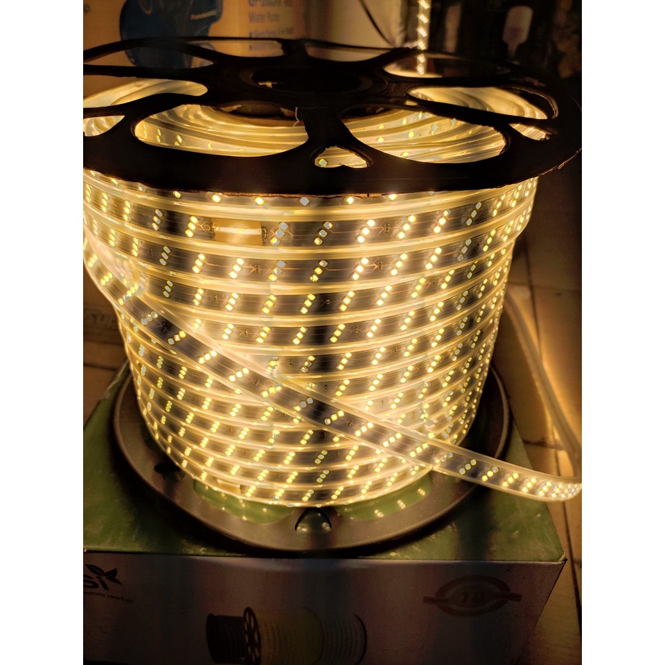 Đèn led đôi dây FSI -VN  2835 - 220 trang trí  màu trắng xanh dương đủ màu siêu sáng quấn cây trang trí trần thạch cao