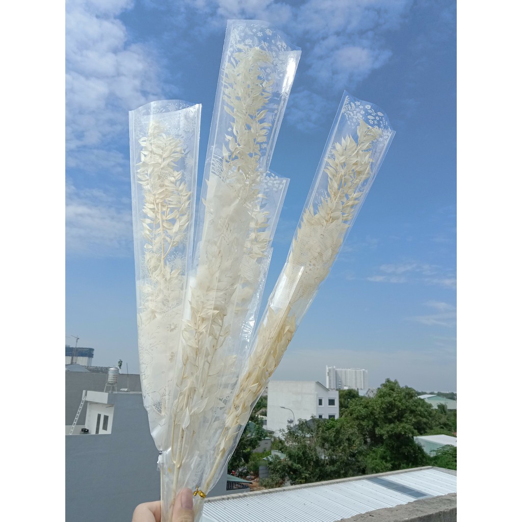 Hoa khô decor - Cành Lá khô - Lá Phú Quý - Lá khô trang trí đời sống