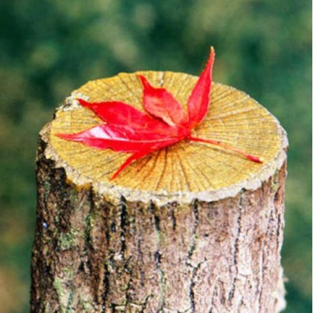 Xưởng Quỳnh Như