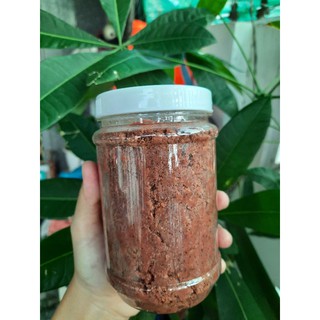 Mắm ruốc loại 1 hũ 500g - Đặc sản Phú Yên