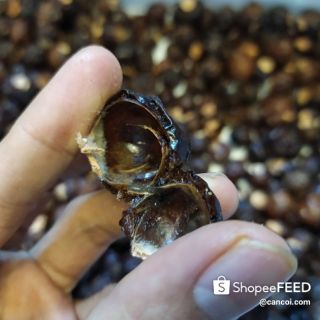 2kg bồ hòn chất lượng cao giá rẻ đã tách hạt