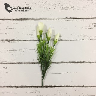 Hoa tulip màu trắng làm đạo cụ chụp hình sản phẩm - phụ kiện chụp hình