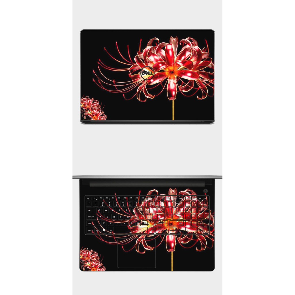 [SKIN HOA BỈ NGẠN] Skin laptop mẫu hoa bỉ ngạn. Full Các Dòng Như: Dell, Hp, Acer, Asus, Macbook,...in hình theo yêu cầu