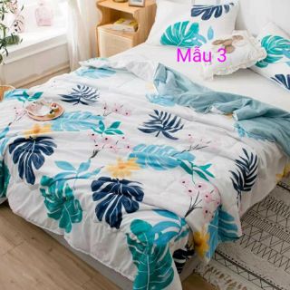 Combo chăn hè phượng vy