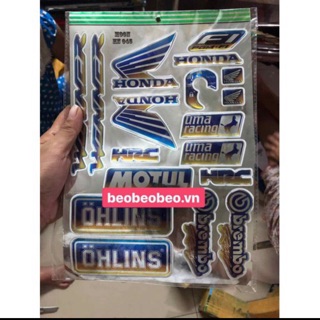 Tem winner crôm titan nổi