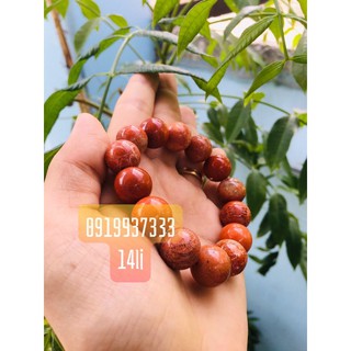 Vòng san hô ( nhiều size )