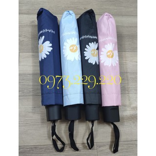 [FREESHIP] Ô Hoa Cúc, Dù Hoa Cúc Gấp Gọn