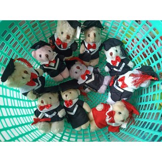 Gấu bông teddy tốt nghiệp