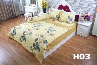 Bộ cotton poly trần phủ