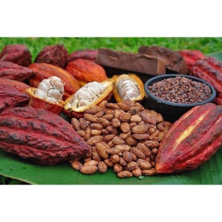 Cacao nguyên chất