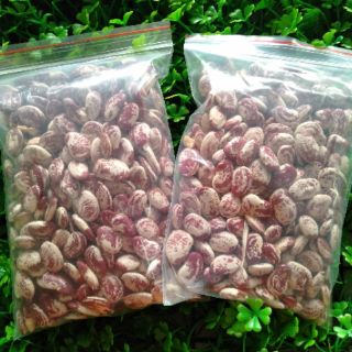 { 500G } ĐẬU NGỰ NGON BÙI 👌