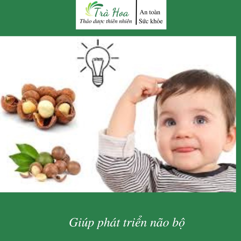 Nhân hạt macca, hạt macca chín Trà Hoa Cô Ba