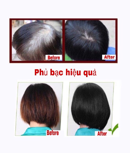 Hộp 6 gói Bột Thuốc Nhuộm Tóc thảo dược Henna Herbul | BigBuy360 - bigbuy360.vn