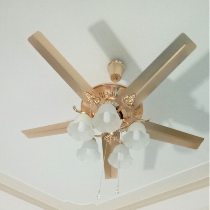 Quạt Trần Đèn 5 Cánh Thép Không Gỉ 2645, Quạt Trần Trang Trí Phòng Khách/Điều Khiển Từ Xa