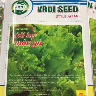 Hạt giống cải bẹ mào gà (20 gr) ☘️