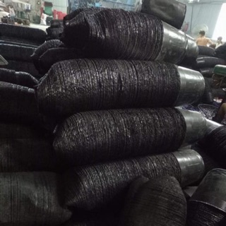 1kg túi ươm cây size to
