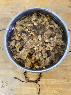Nước cốt lá bàng