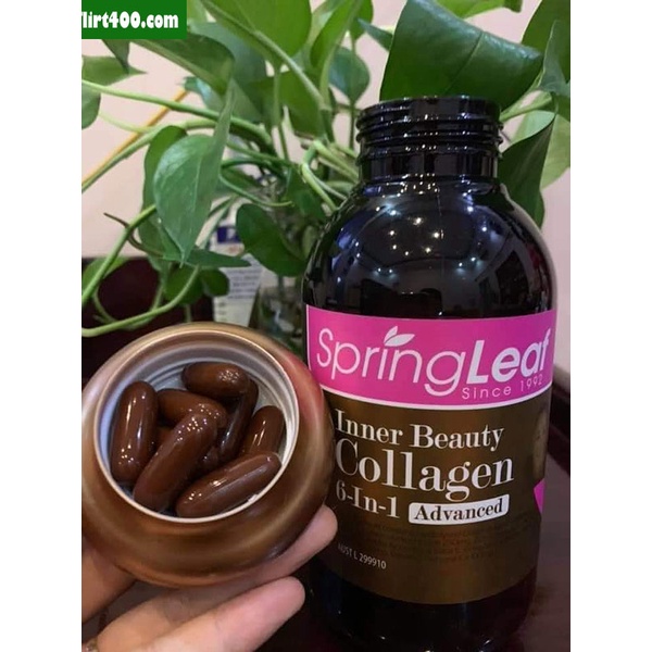 Viên Uống Collagen Spring Leaf Inner Beauty Collagen 6-In-1 Hộp 90 viên, 180 viên Chống Lão Hóa, Làm Đẹp Da SeeMe Beauty