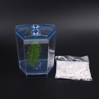 Hồ Nuôi Betta ( Tặng thêm phụ kiện ) shopee cá cảnh hưng nguyễn