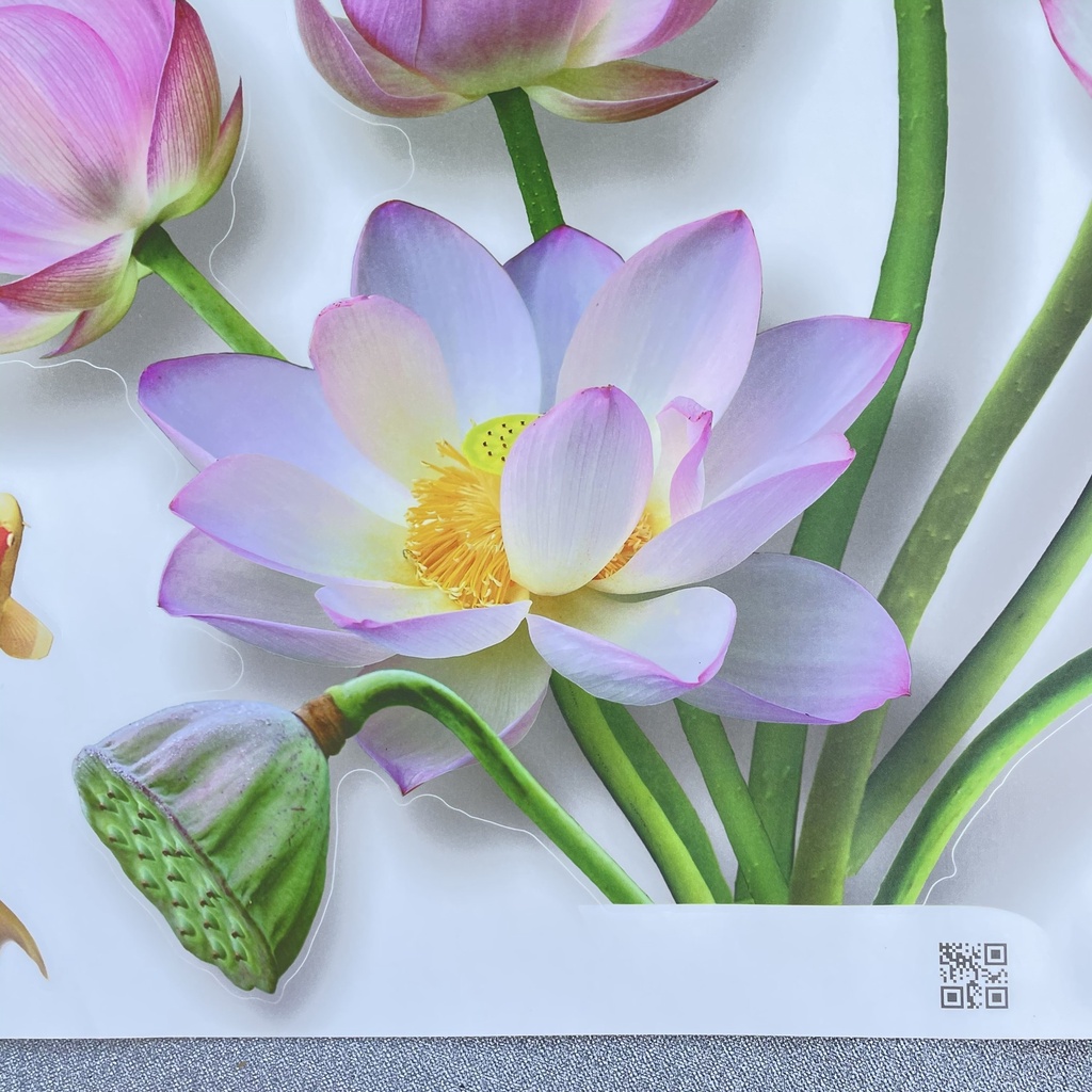 Decal dán tường hàn quốc trang trí phòng ngủ TUNG DECOR SK9328 Bình Hoa Sen Trắng