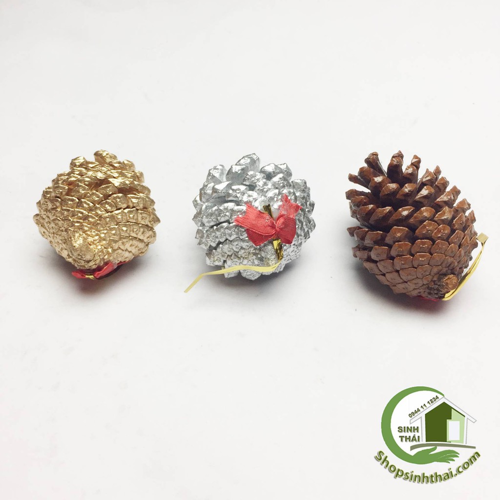 Quả thông khô tự nhiên nhiều màu - quả nhỏ - chọn màu