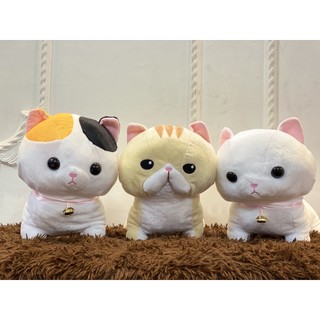 Gấu Bông Mèo Con