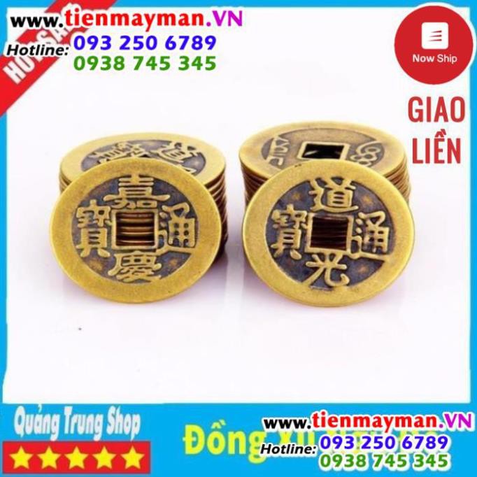 Đồng Tiền Hoa Mai ⭐FREESHIP⭐ Kim Tiền Tài Lộc | BigBuy360 - bigbuy360.vn