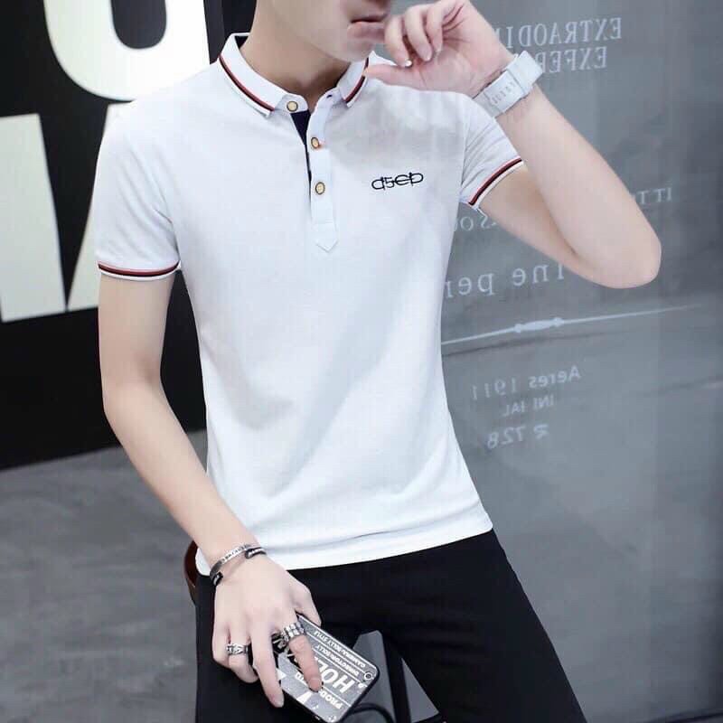 áo thun có cổ nam tay ngắn mẫu đẹp 2021 vải THUN COTTON 100% thêu ong ATN13 | BigBuy360 - bigbuy360.vn