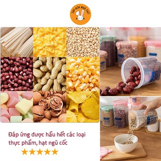 Hộp bảo quản thực phẩm, hộp đựng thực phẩm bằng nhựa PP an toàn cho sk