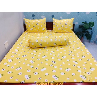 BỘ CHĂN GA COTTON THẮNG LỢI