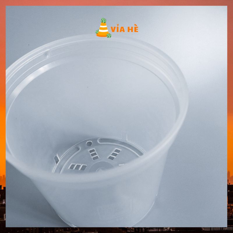 Chậu nhựa cứng tròn trắng trong suốt 4 size trồng cây cảnh kiểng lá Thakico giá tại xưởng