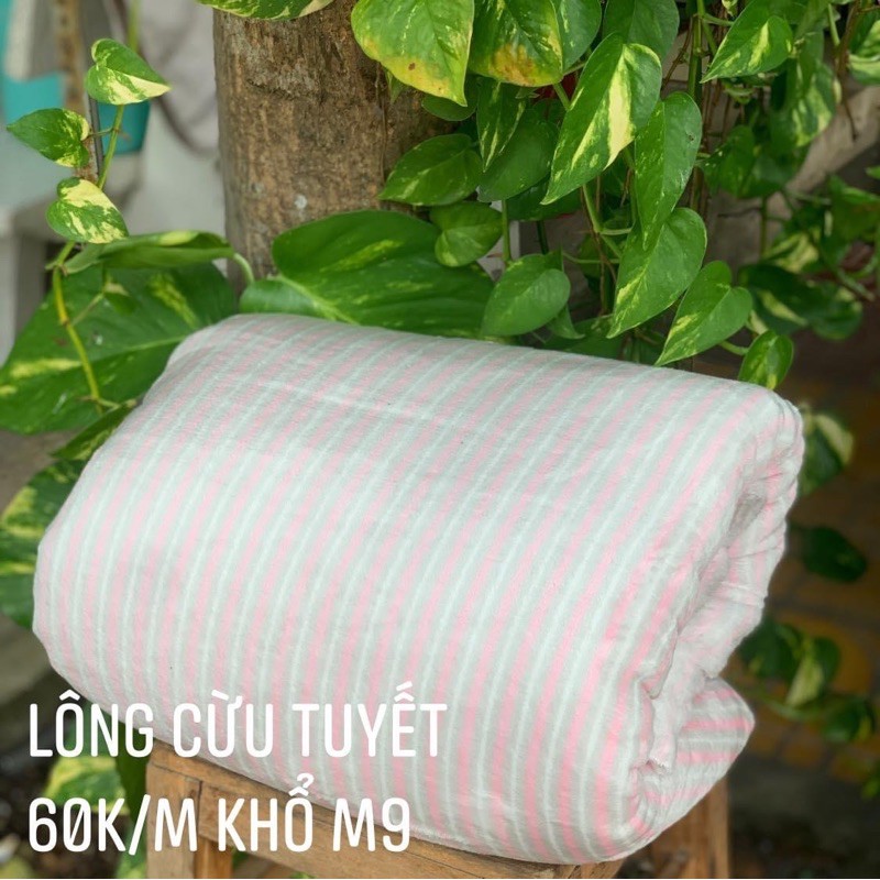 2m vải lông tuyết