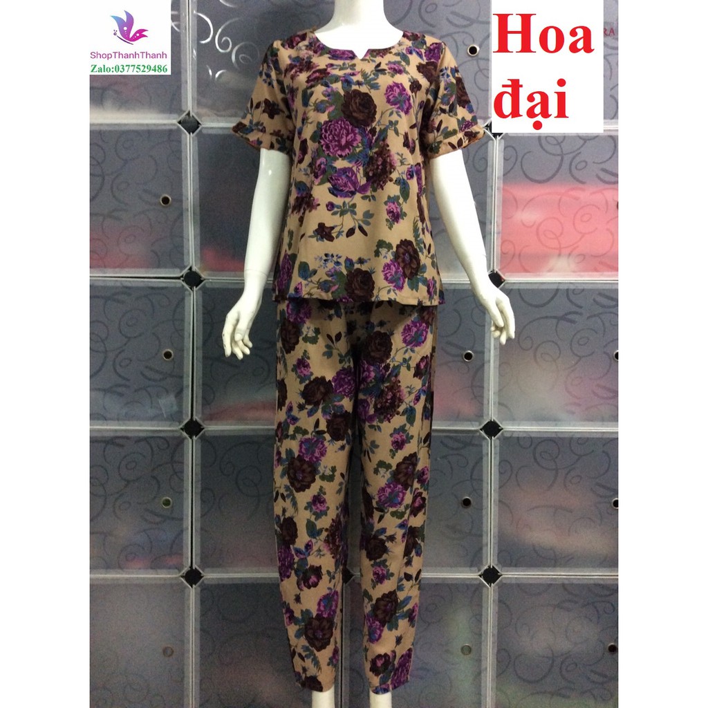 Size 5  Trung Niên QUẦN DÀI Đồ bộ mặc nhà TÔN TOLE LANH NHUNG Big Size cao cấp ShopThanhThanh
