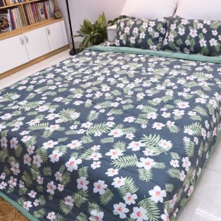 Bộ chăn ga gối cotton đũi
