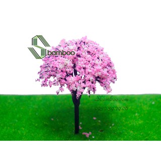 CÂY HOA ANH ĐÀO 10CM