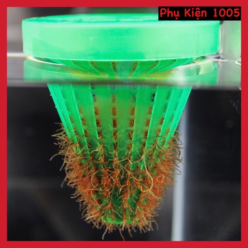 Phễu Đựng Giun Cho Cá Cảnh