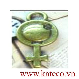 A22869 Biểu tượng nữ Màu đồng 50 gram/bịch
