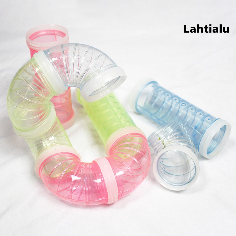Đường Hầm Trong Suốt Dành Cho Chuột Hamster Leo Trèo