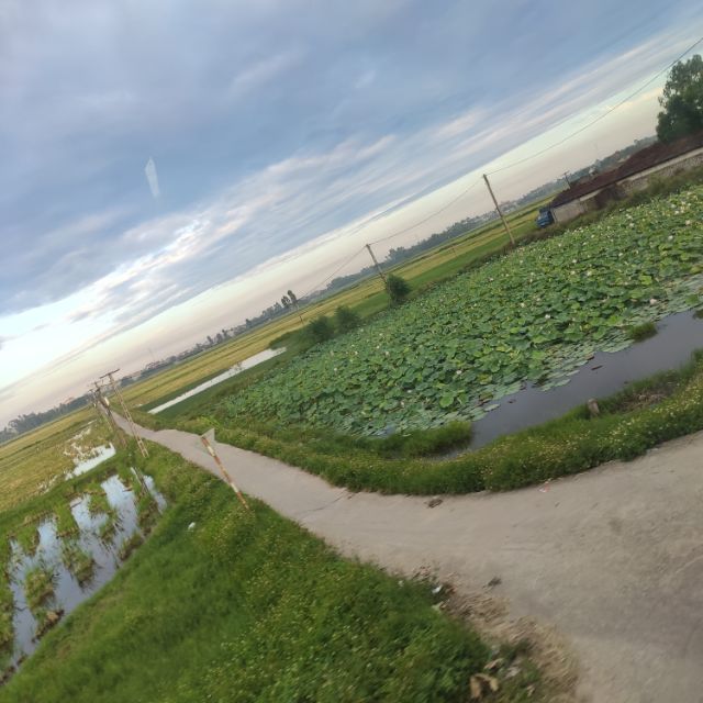 DaiLyChinhHangTopWhite, Cửa hàng trực tuyến | BigBuy360 - bigbuy360.vn