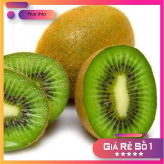Hạt giống Kiwi